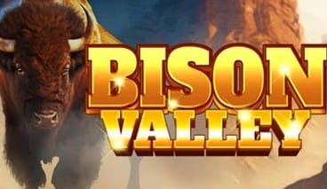 Bison Valley